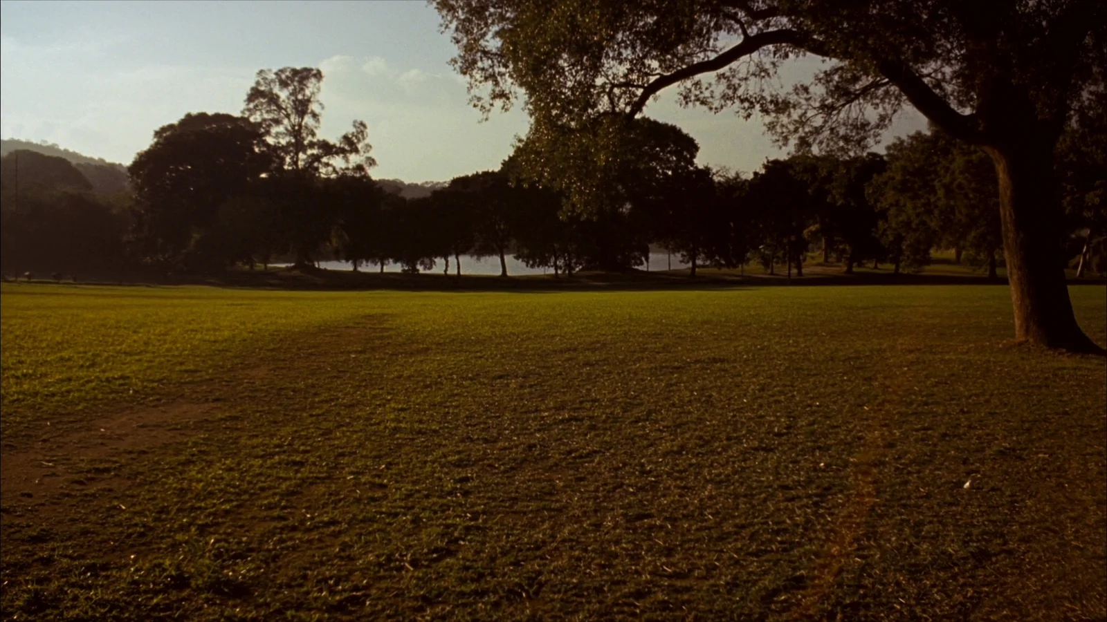Área verde próxima ao Parque Ibirapuera