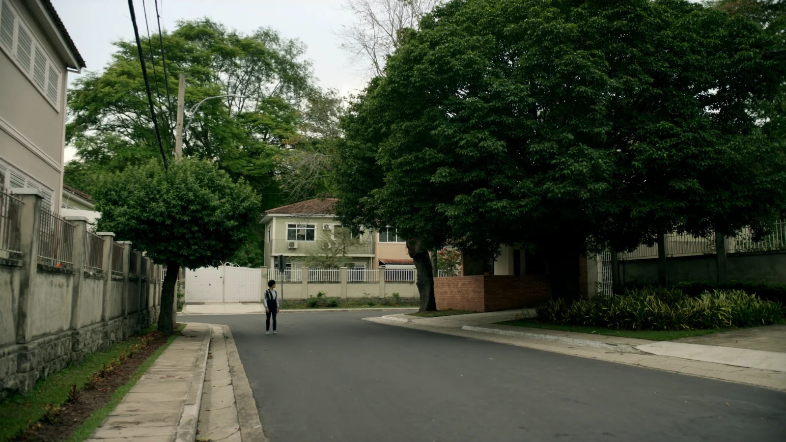 Rua residencial arborizada com casas e muros baixos